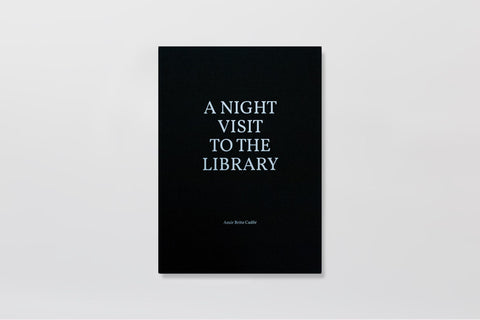 A Night Visit To The Library