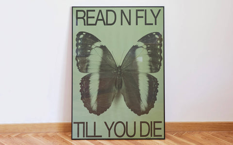 Read N Fly