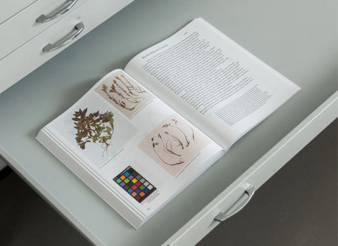 Vol. 7: Seeds and Structures
