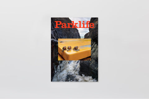 Parklife Issue 3, A New Nowhere