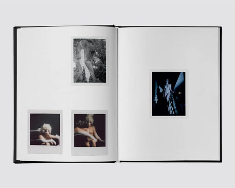 Camille Vivier, Polaroids: interior